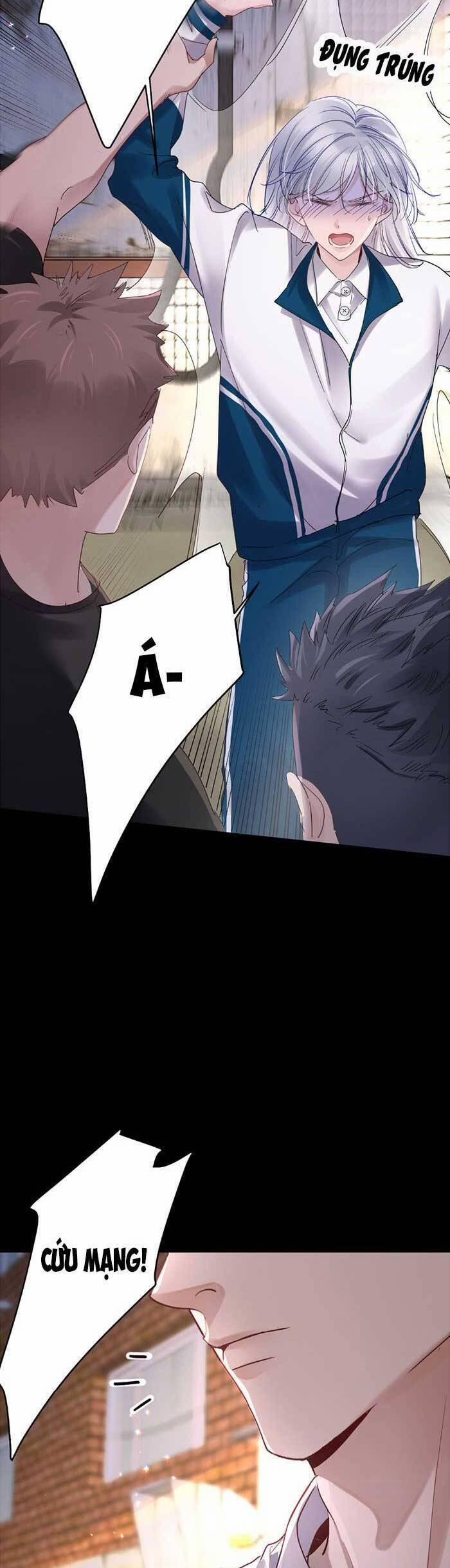 Bí Mật Nhỏ Của Ngỗng Trắng 6 trang 21