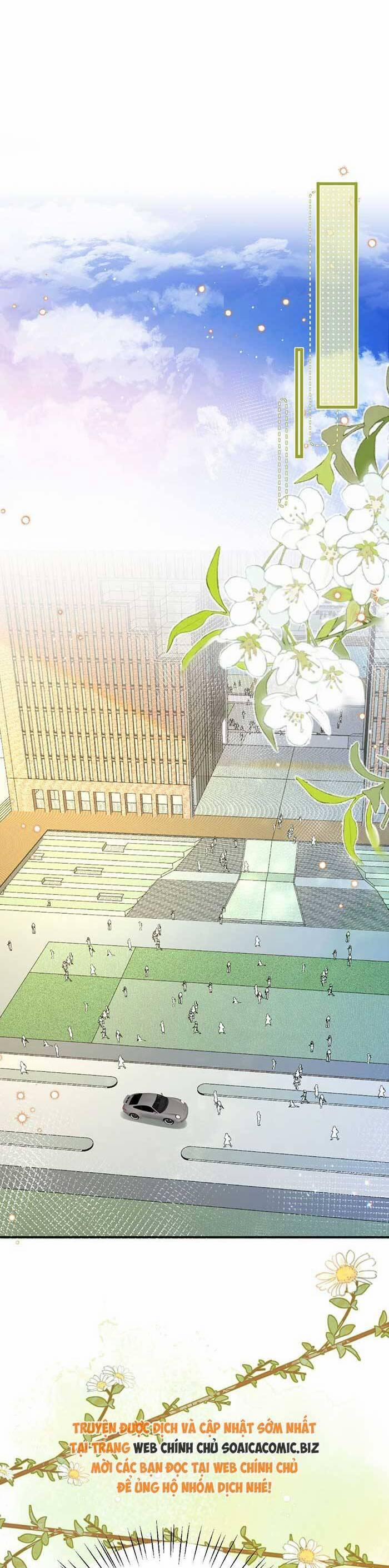 Bí Mật Nhỏ Của Ngỗng Trắng 7 trang 31