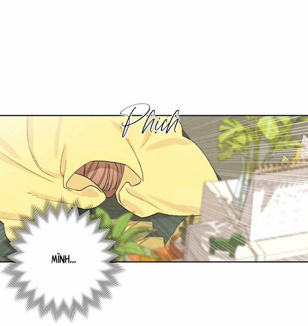 Bí Mật Thanh Xuân 10 trang 13