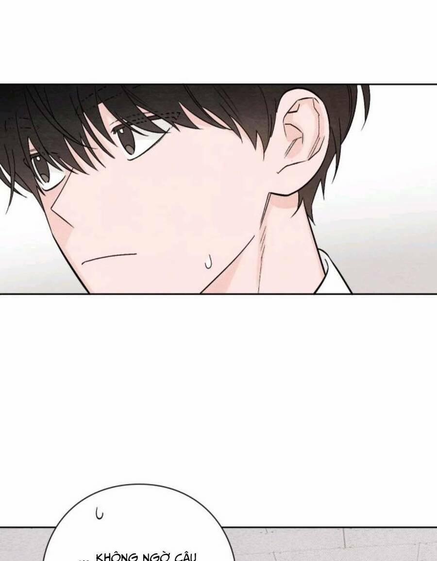 Bí Mật Thanh Xuân 11 trang 19