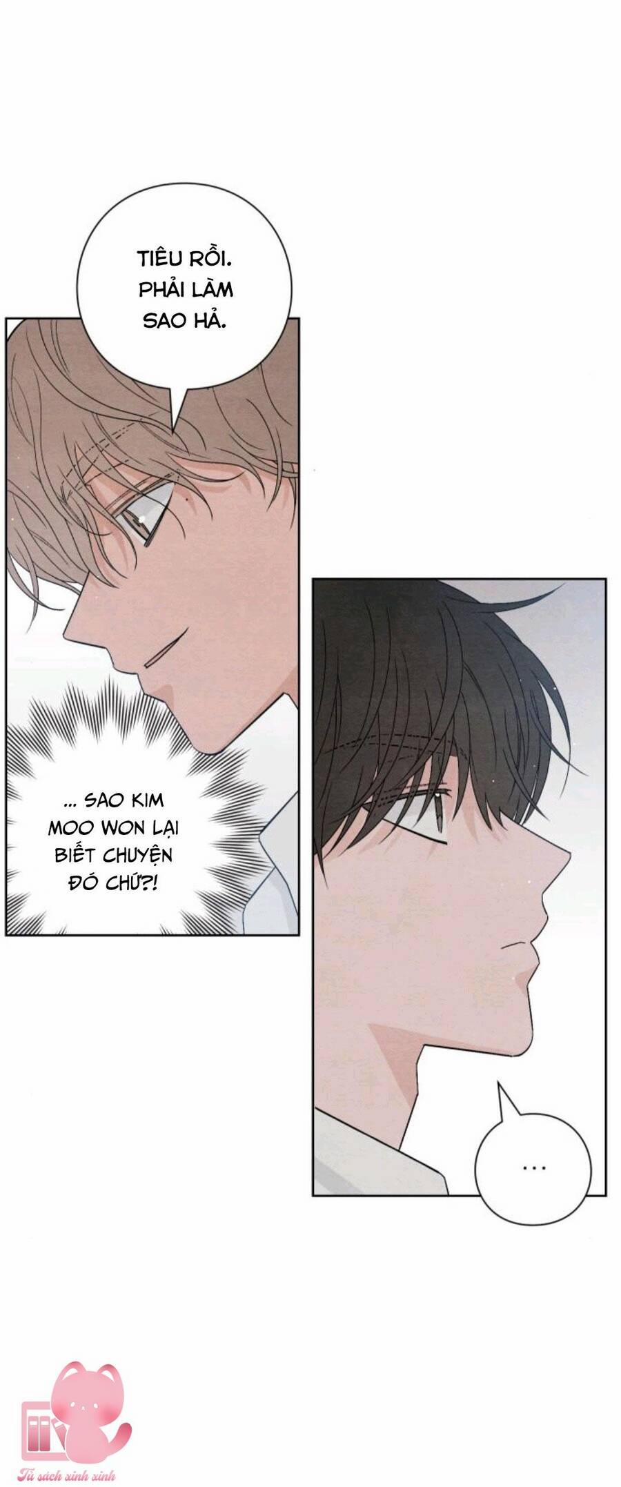 Bí Mật Thanh Xuân 14 trang 19