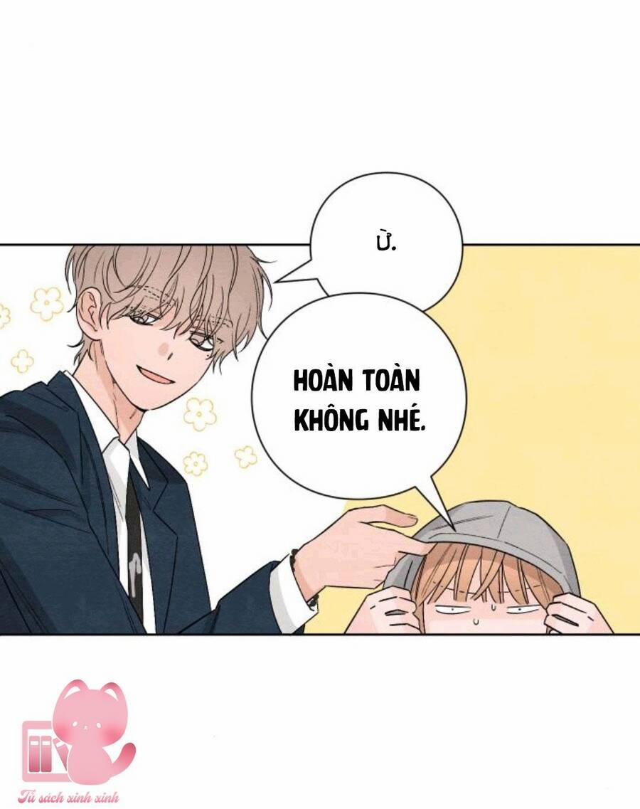 Bí Mật Thanh Xuân 14 trang 8