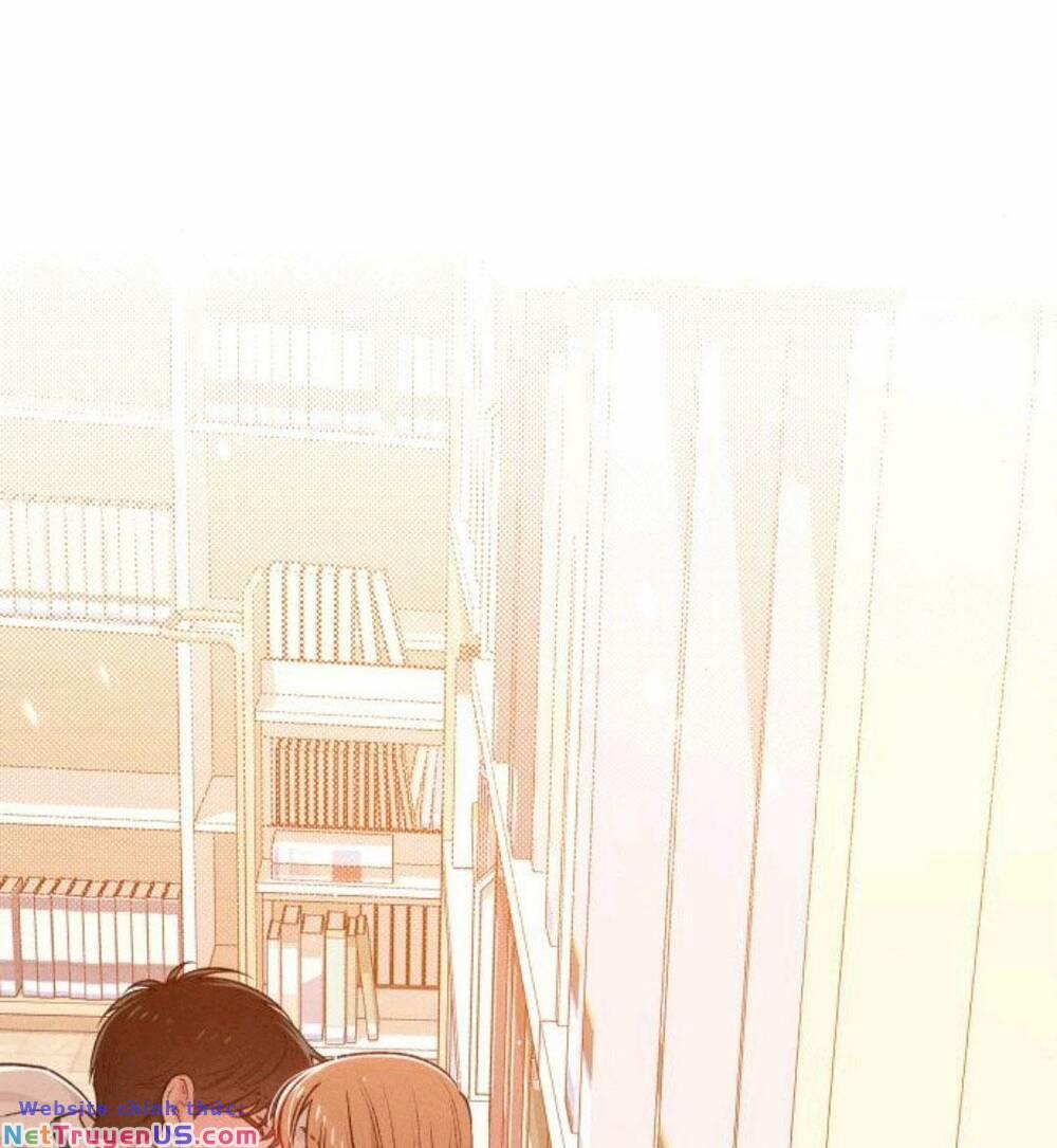 Bí Mật Thanh Xuân 53 trang 19