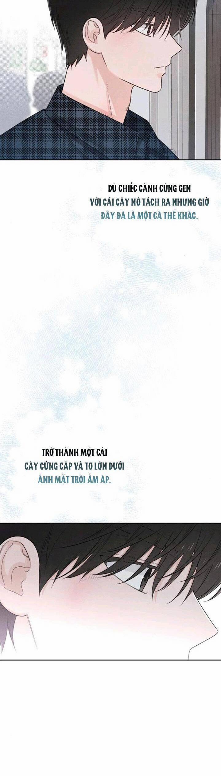 Bí Mật Thanh Xuân 66 trang 19