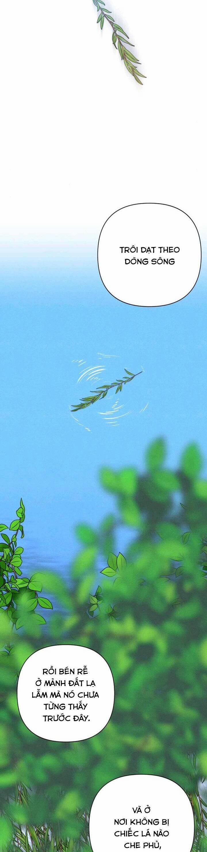 Bí Mật Thanh Xuân 66 trang 8