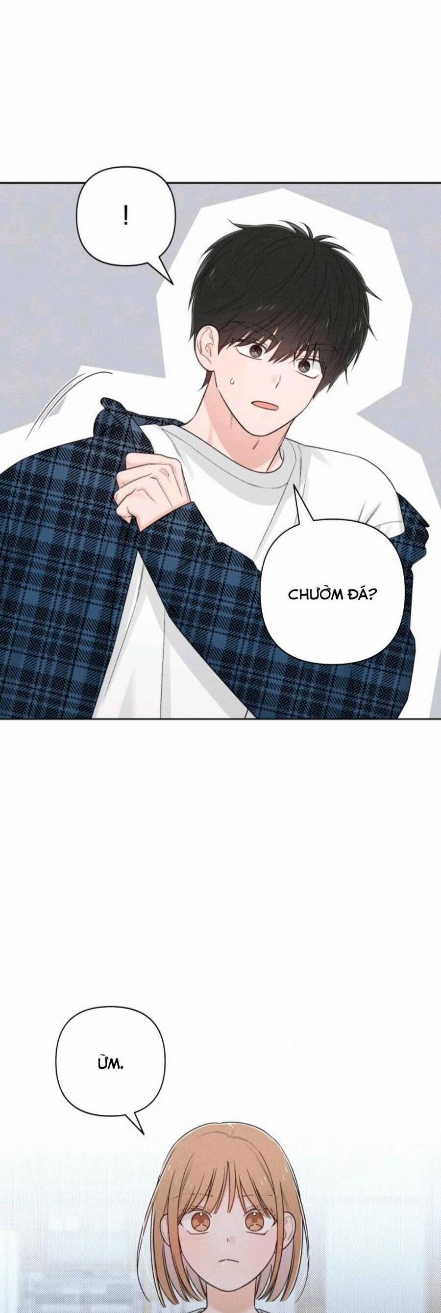 Bí Mật Thanh Xuân 70 trang 12