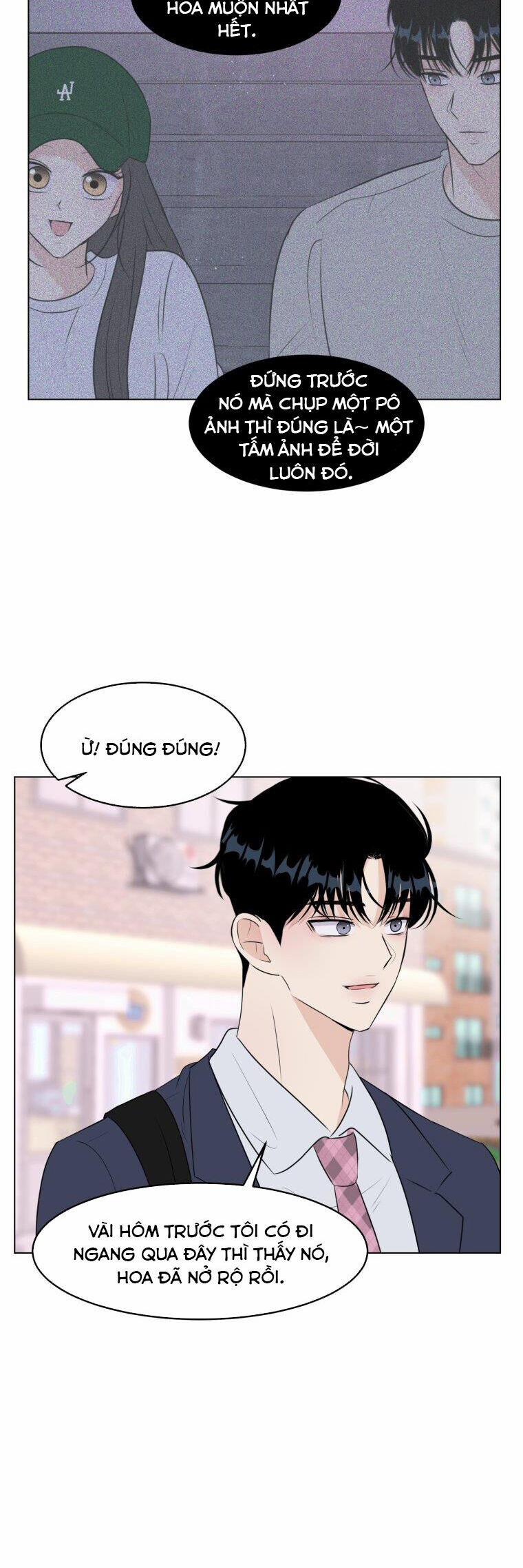 Bí Mật Tình Yêu Tuổi Thanh Xuân 28 trang 3