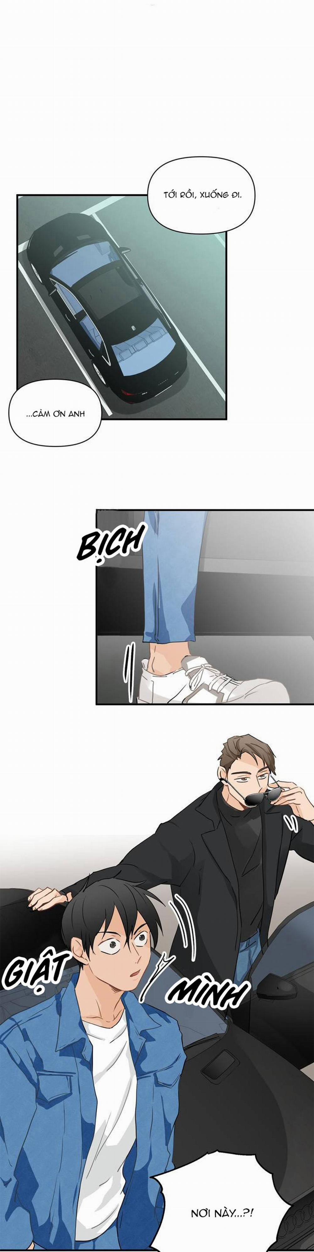 Big and big 10 trang 0