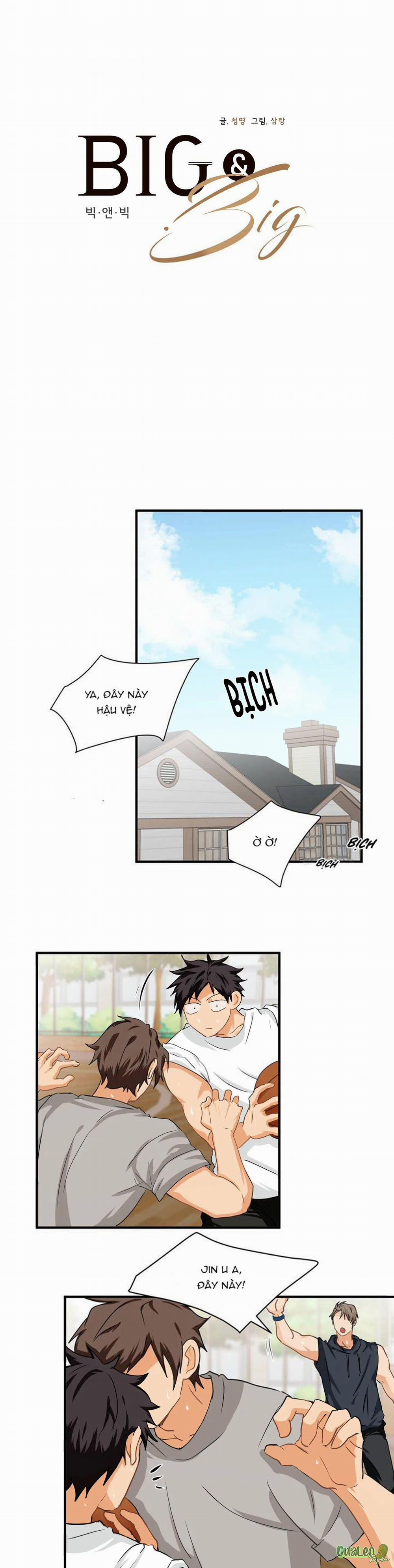 Big and big 11 trang 13