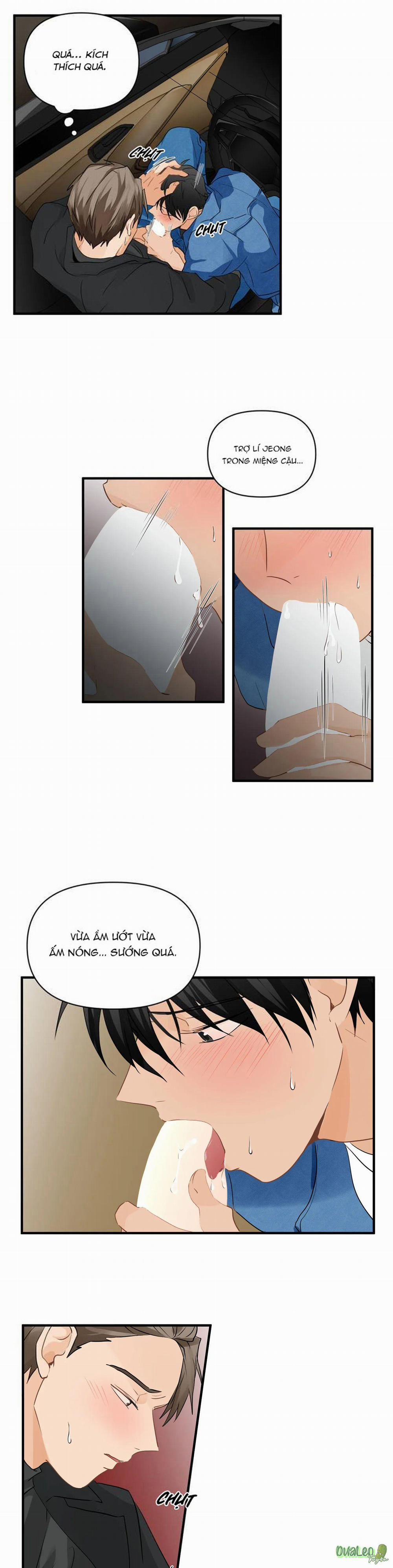 Big and big 11 trang 3