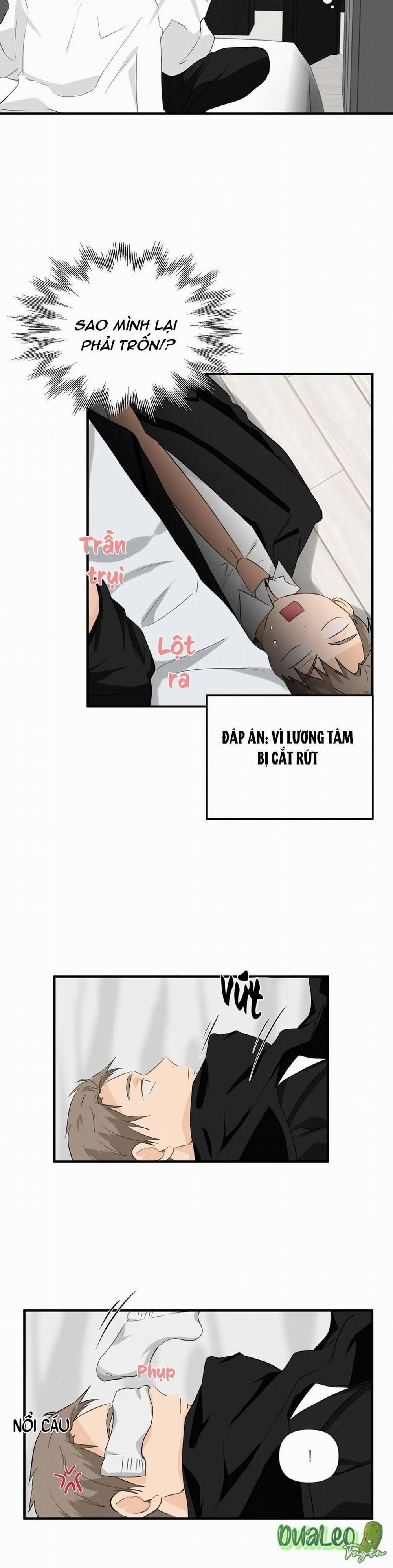 Big and big 14 trang 11