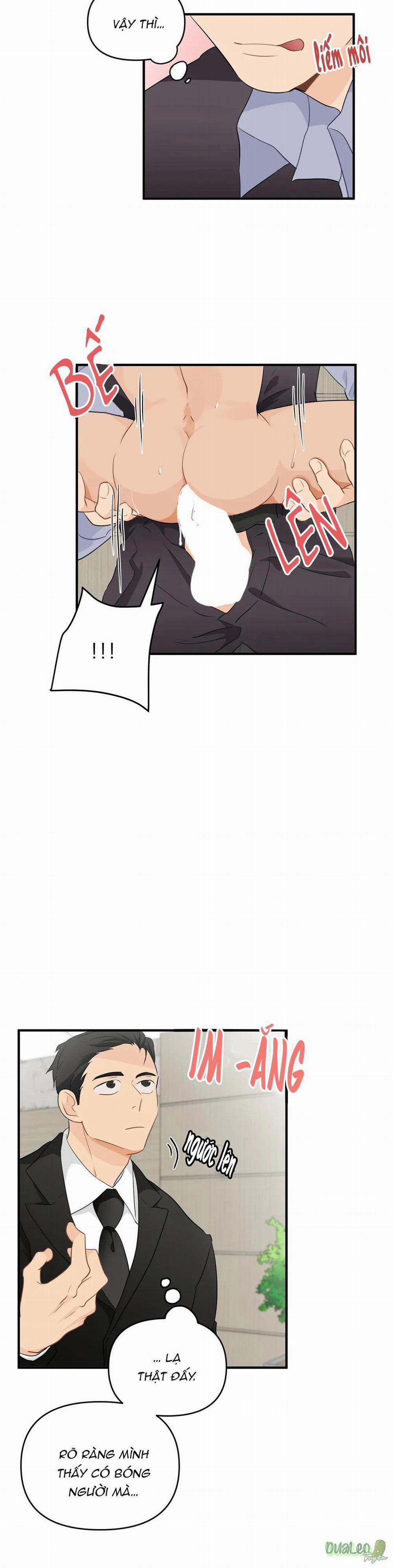 Big and big 23 trang 2