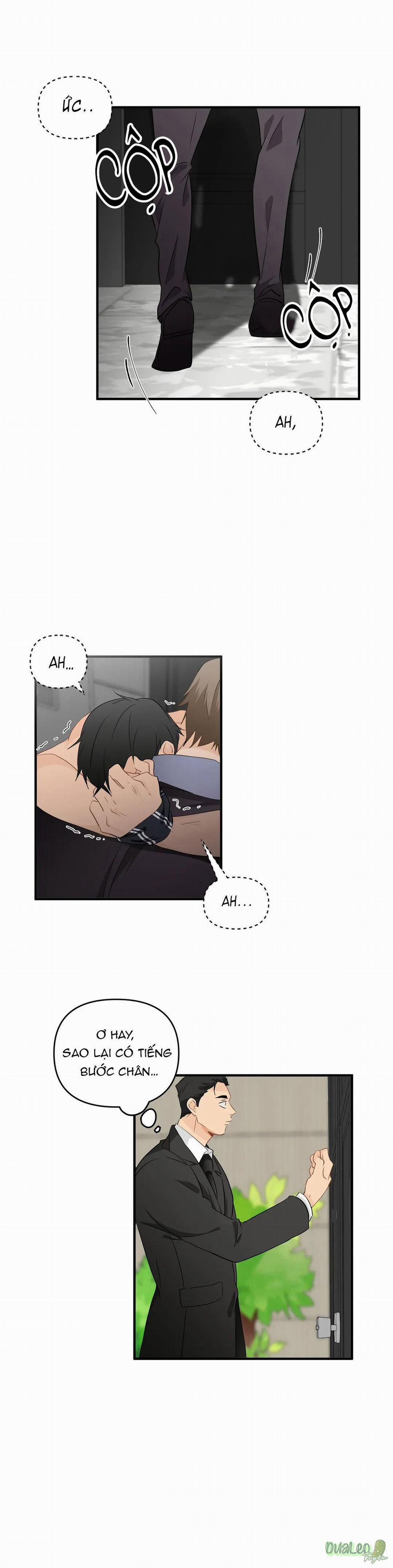 Big and big 23 trang 3