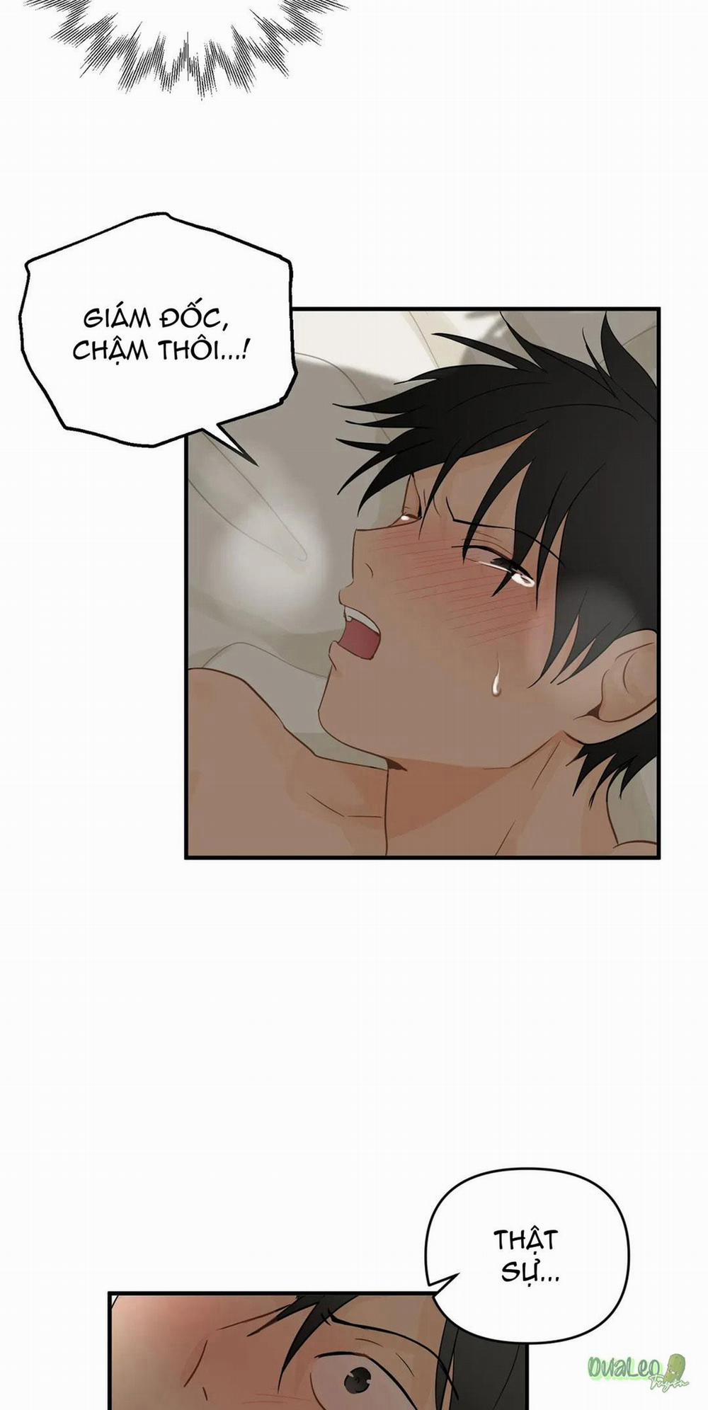 Big and big 25 trang 28