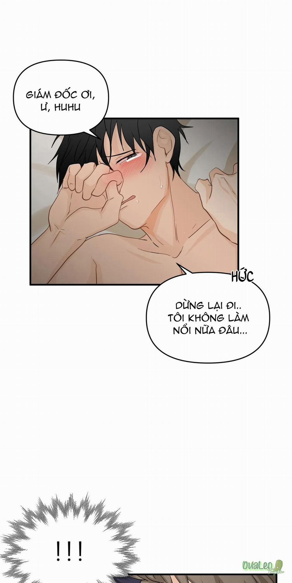 Big and big 25 trang 40