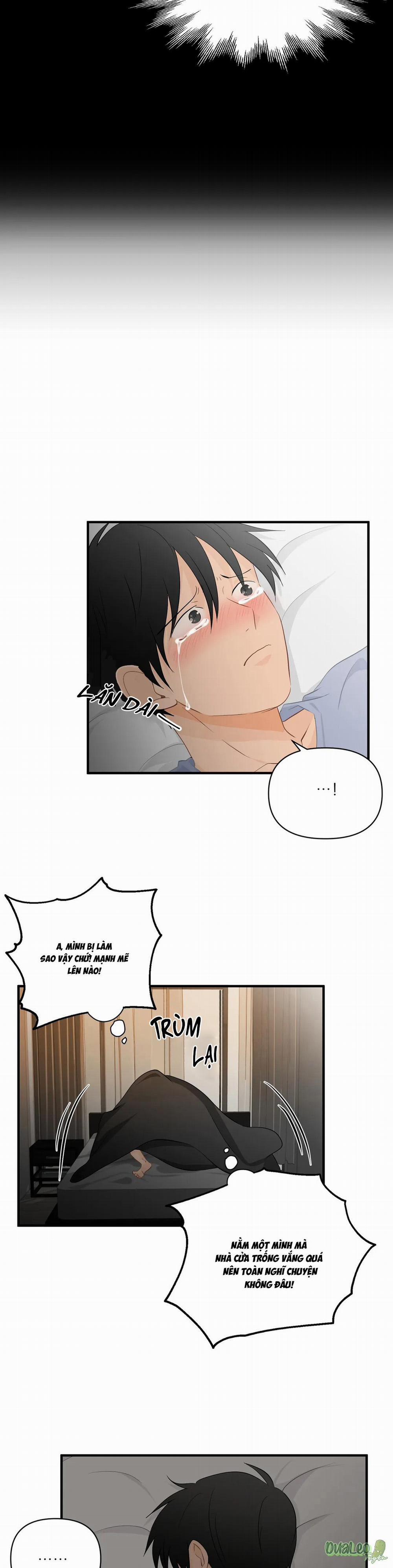 Big and big 28 trang 4