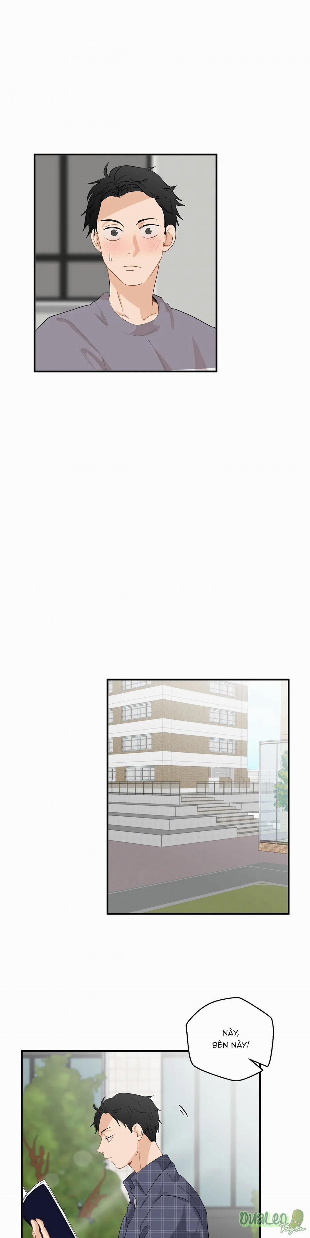 Big and big 35 trang 15