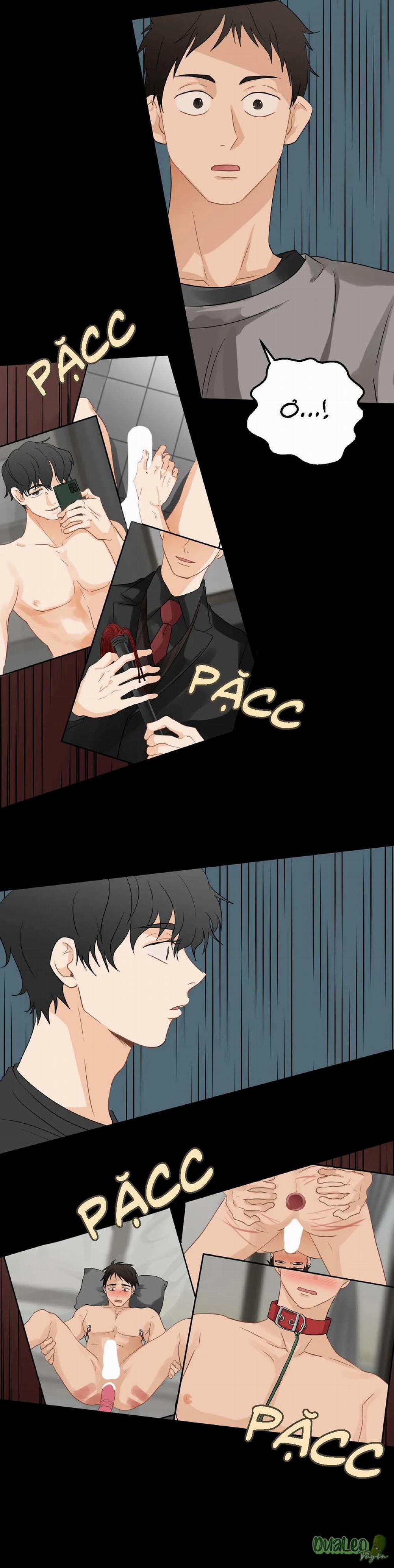 Big and big 40 trang 17