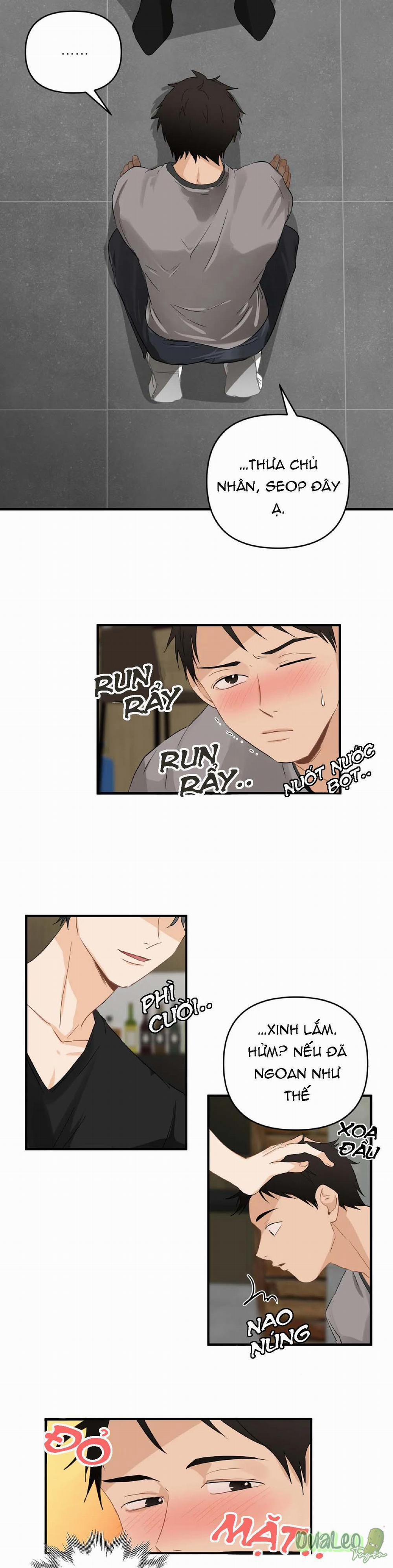 Big and big 41 trang 13