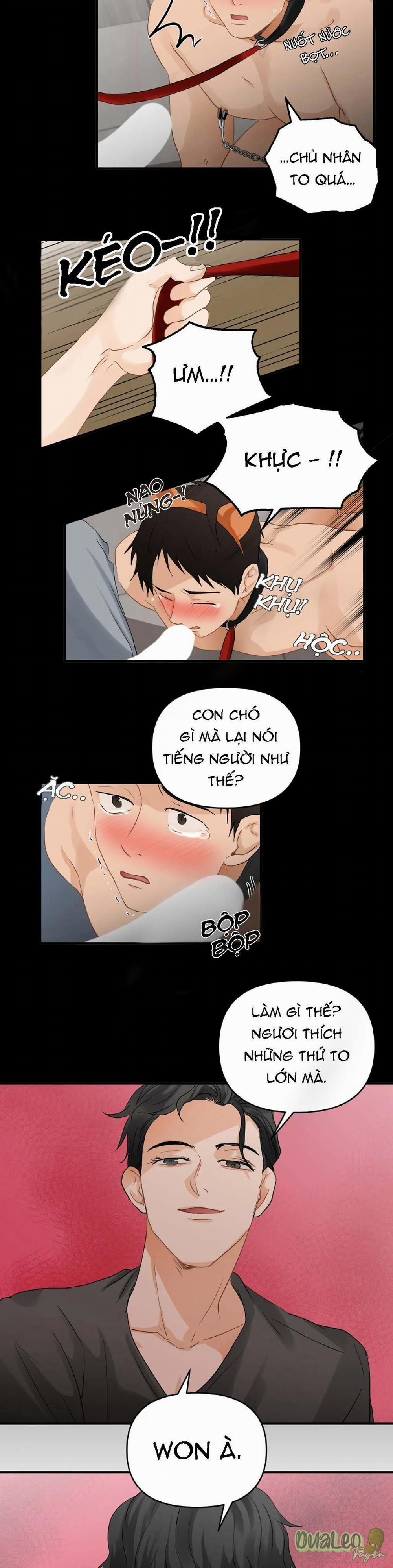 Big and big 41 trang 9