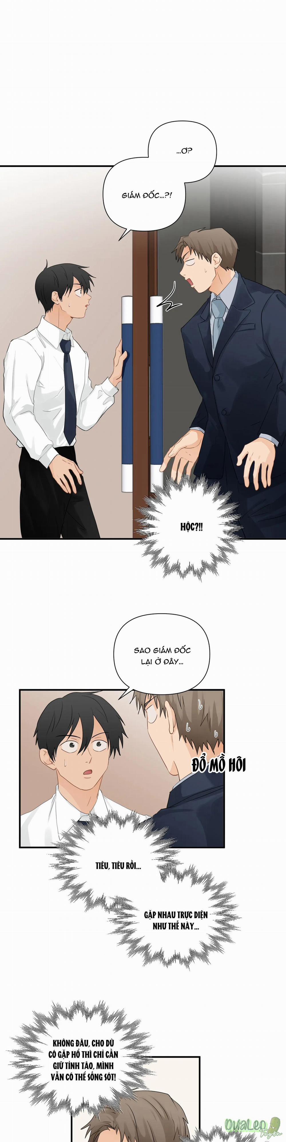 Big and big 43 trang 0