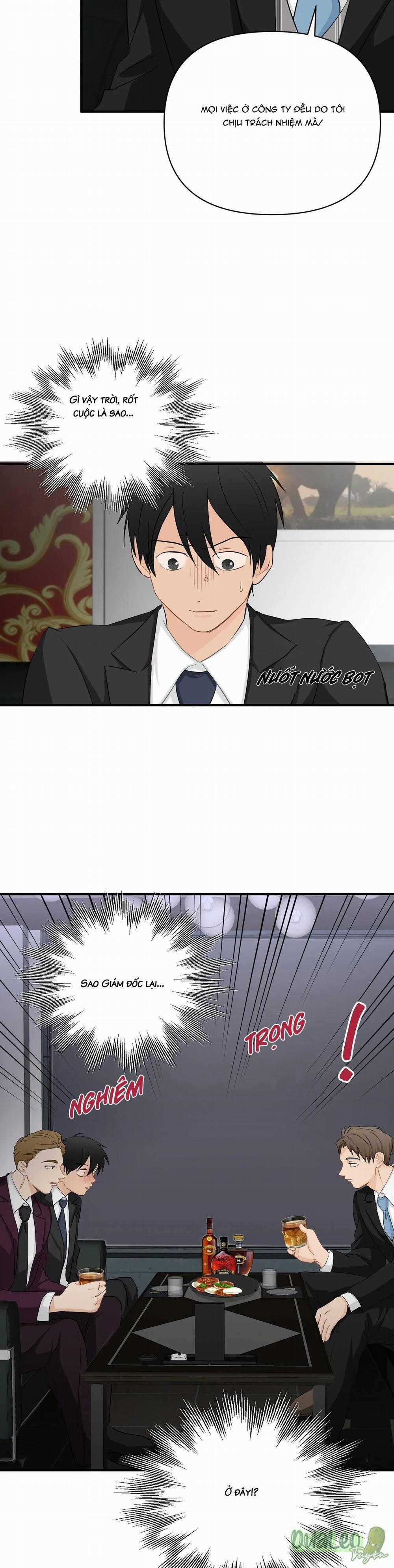 Big and big 50 trang 17