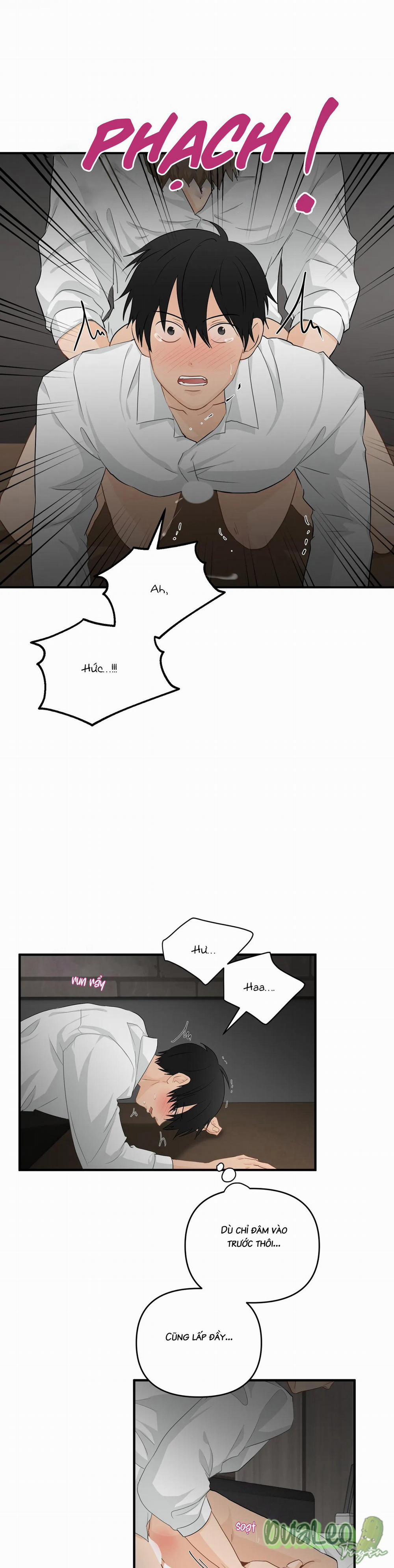 Big and big 53 trang 5