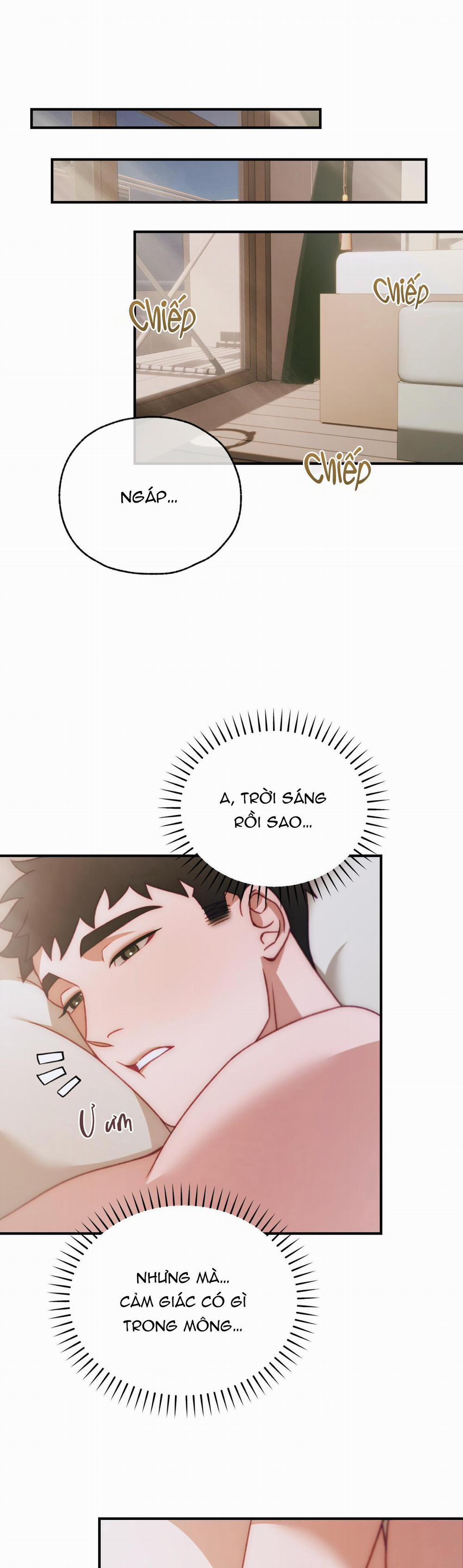 Big plus big 4 trang 0