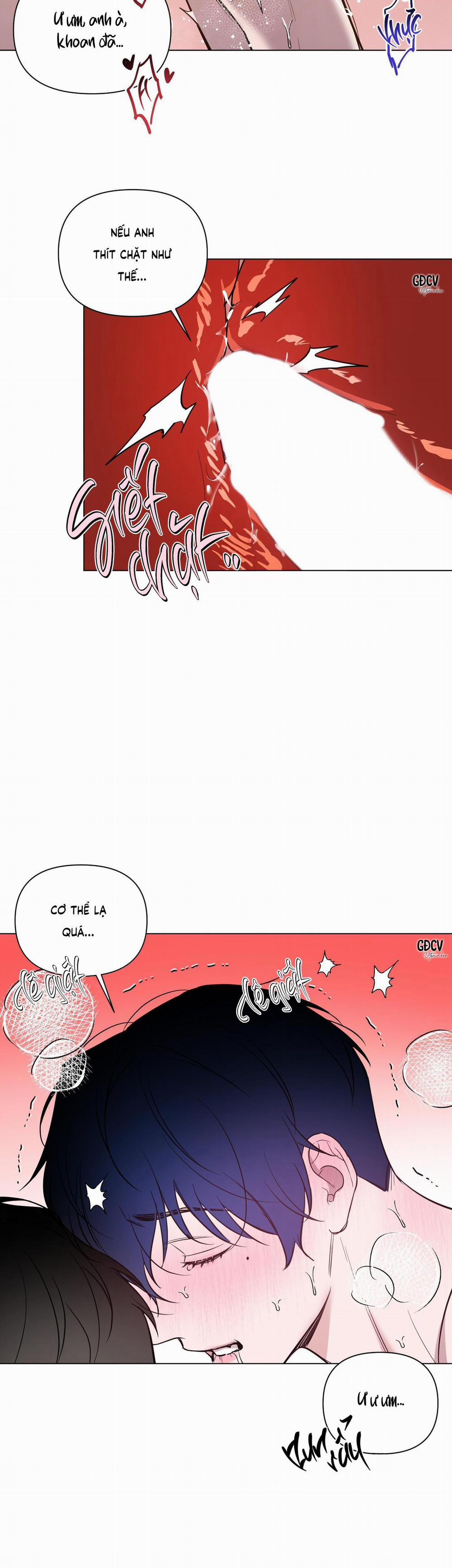 BÌNH MINH CHIA CẮT BÓNG ĐÊM 34 SS2 0 trang 13