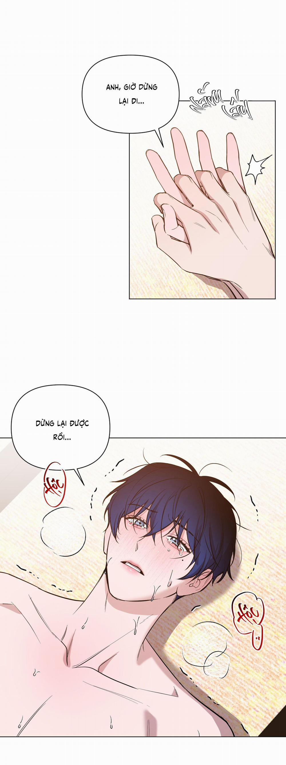 BÌNH MINH CHIA CẮT BÓNG ĐÊM 40 0 trang 0