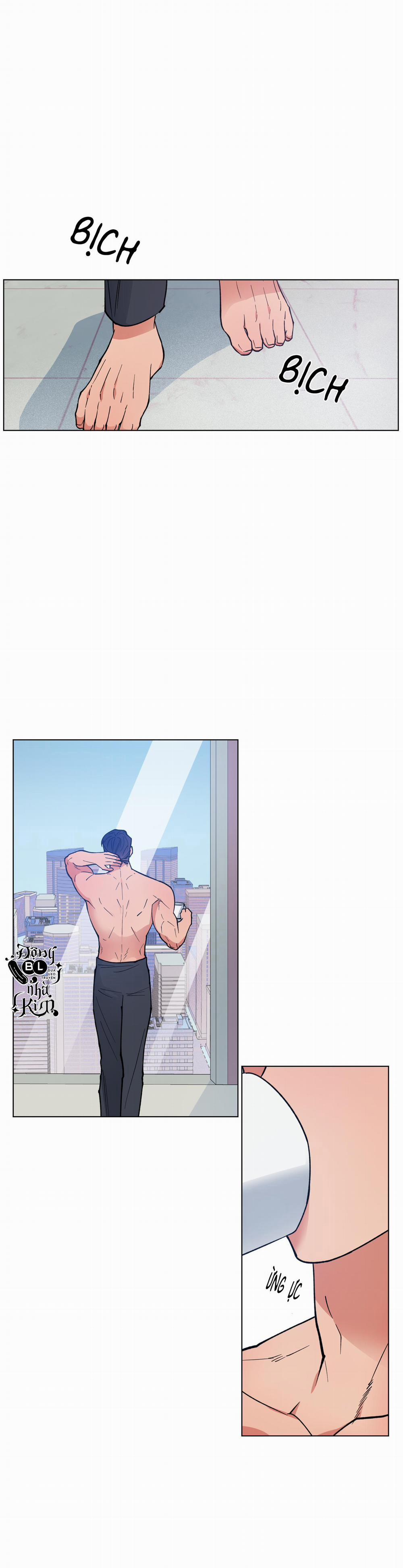 Bình Minh Của Rồng 11 trang 0