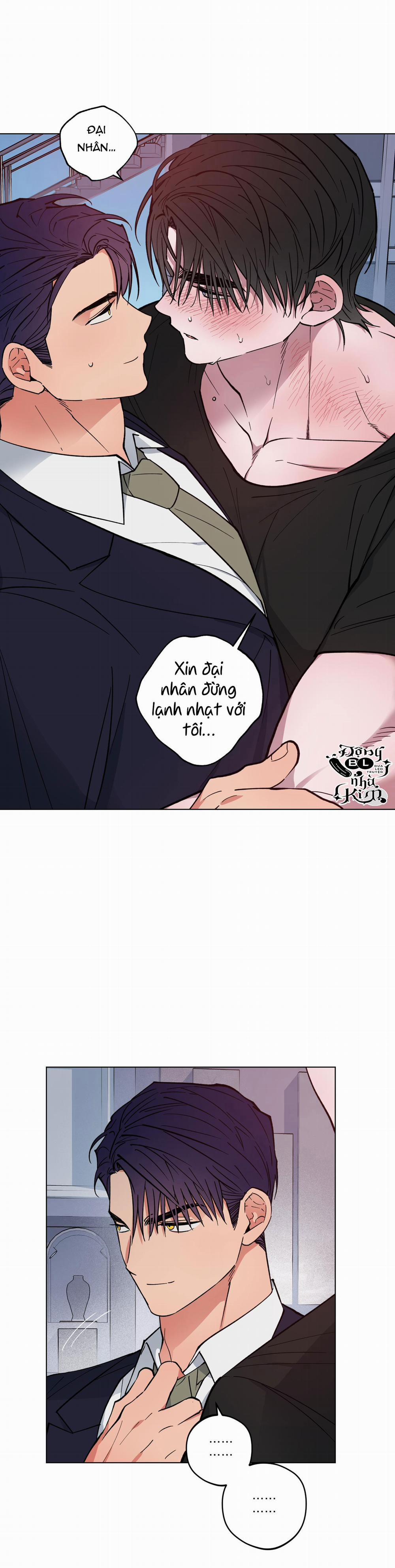 Bình Minh Của Rồng 12 trang 0