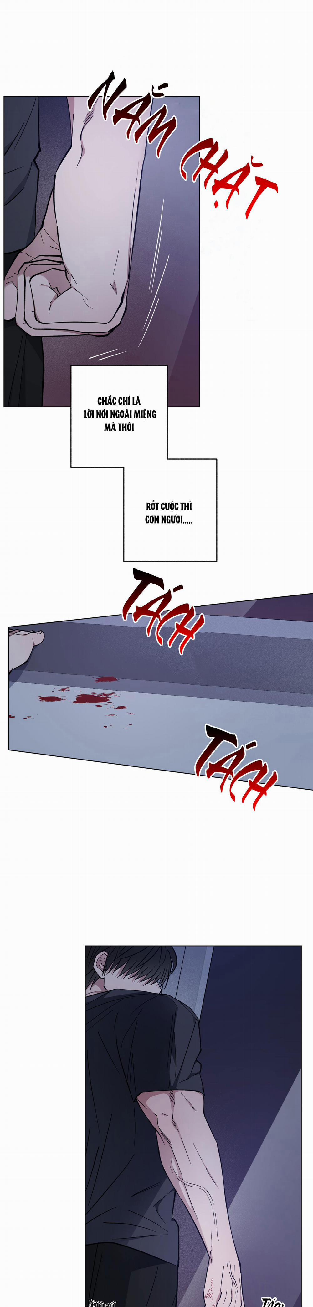 Bình Minh Của Rồng 22 trang 8