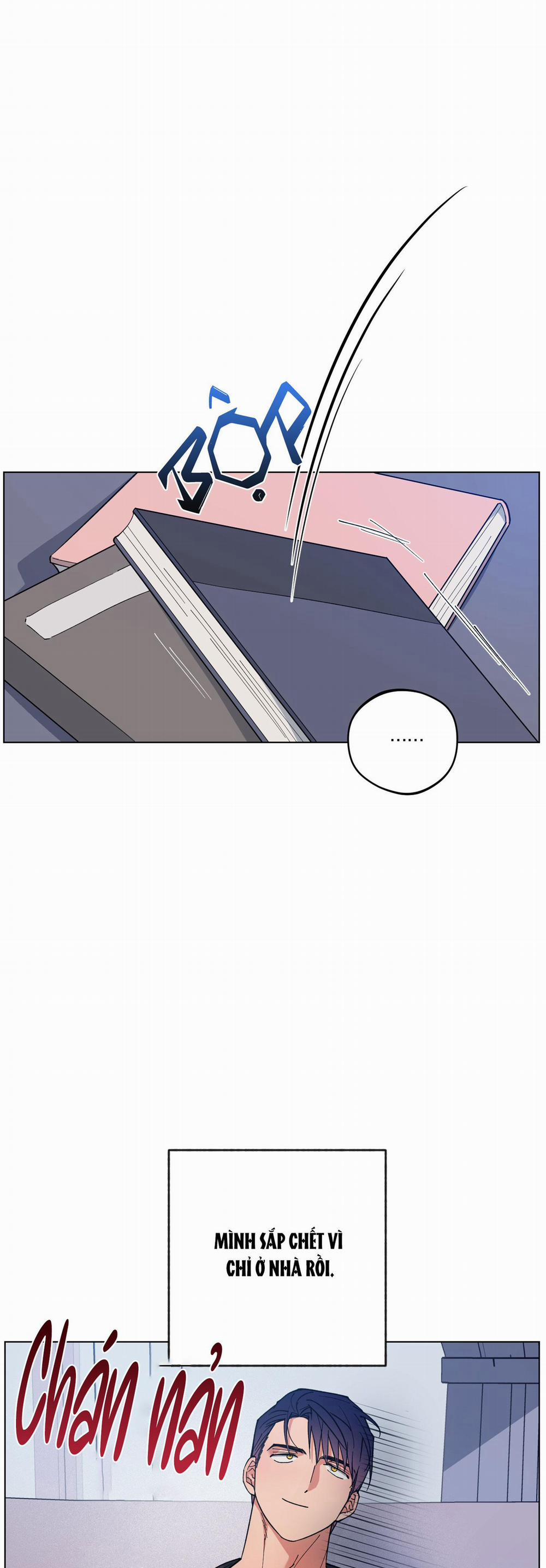 Bình Minh Của Rồng 30 trang 0