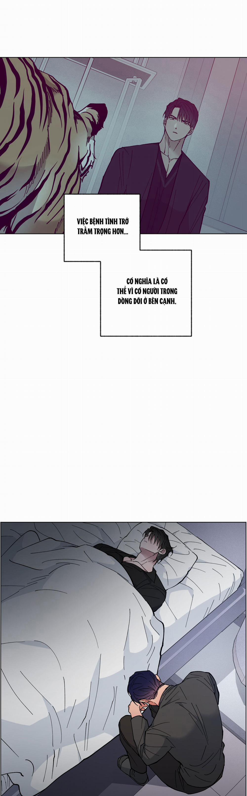 Bình Minh Của Rồng 31 trang 12