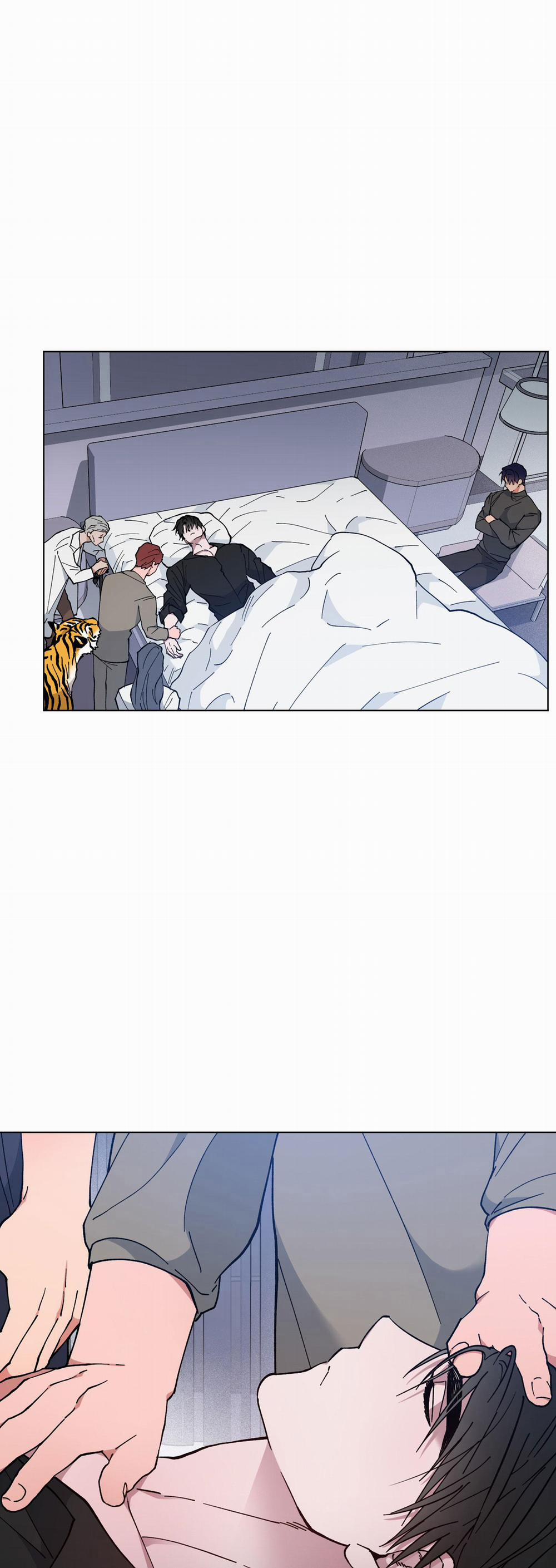 Bình Minh Của Rồng 31 trang 15