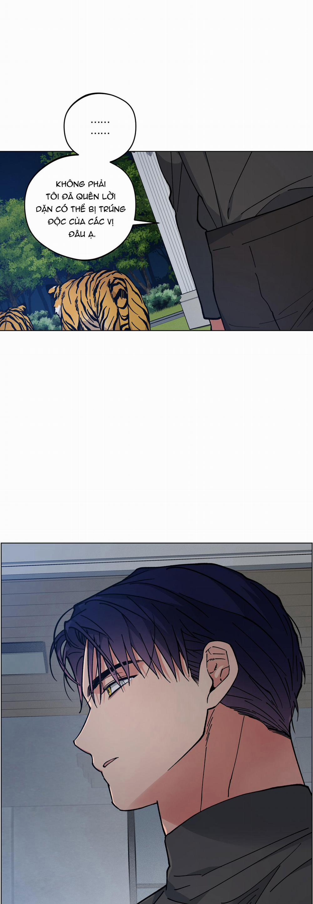 Bình Minh Của Rồng 31 trang 23