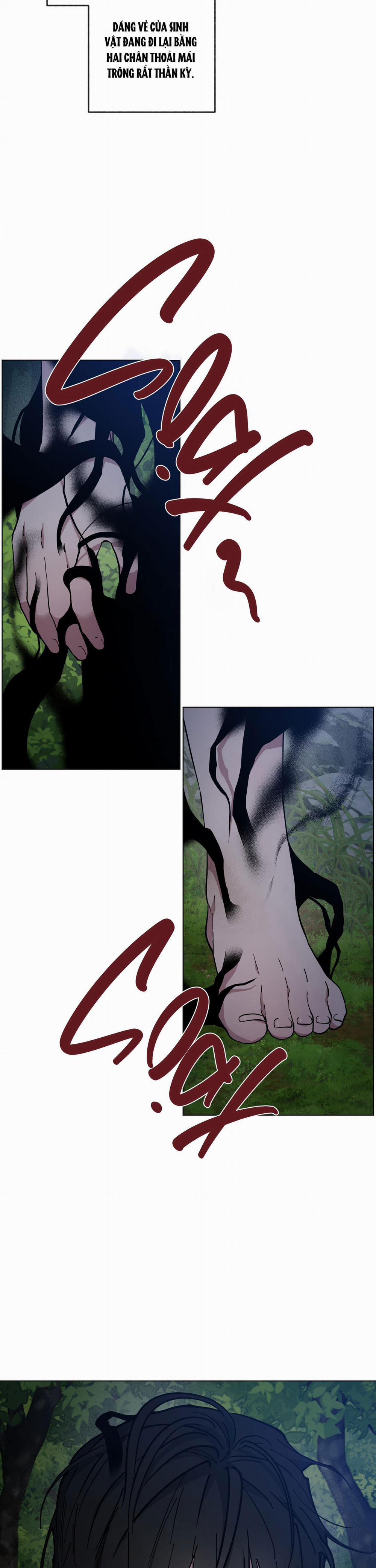 Bình Minh Của Rồng 34 trang 12