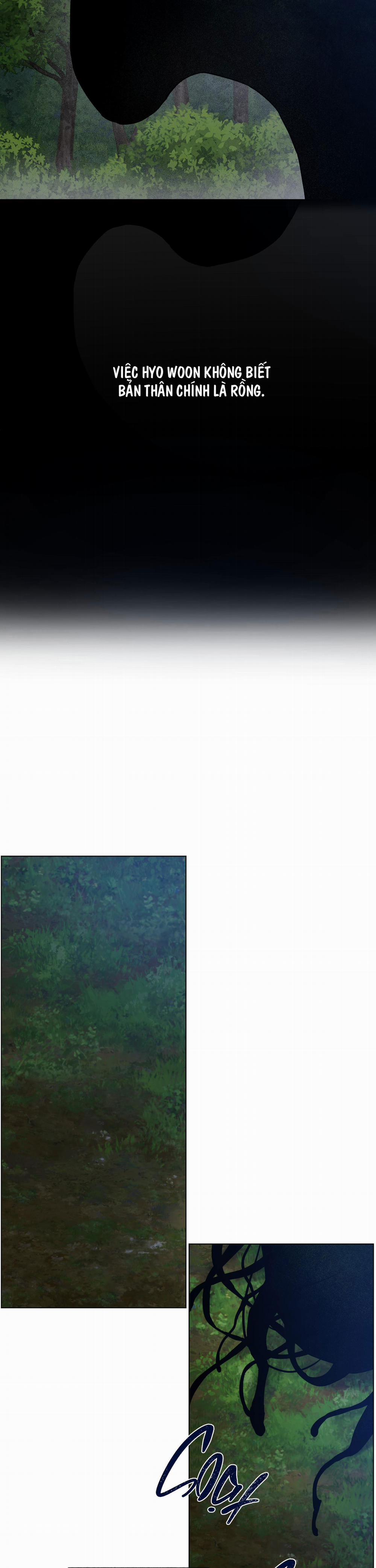 Bình Minh Của Rồng 34 trang 8