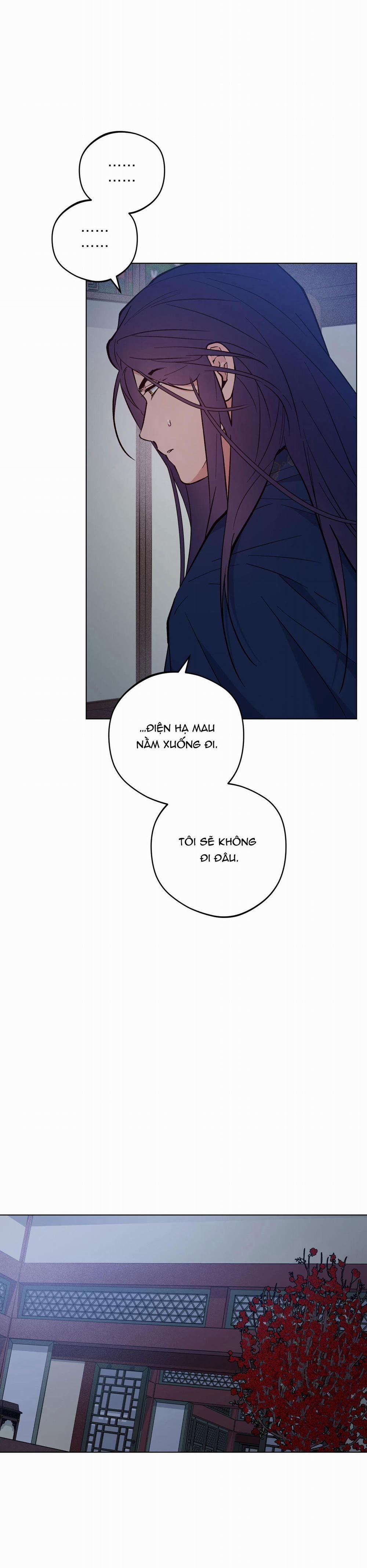 Bình Minh Của Rồng 50 trang 28