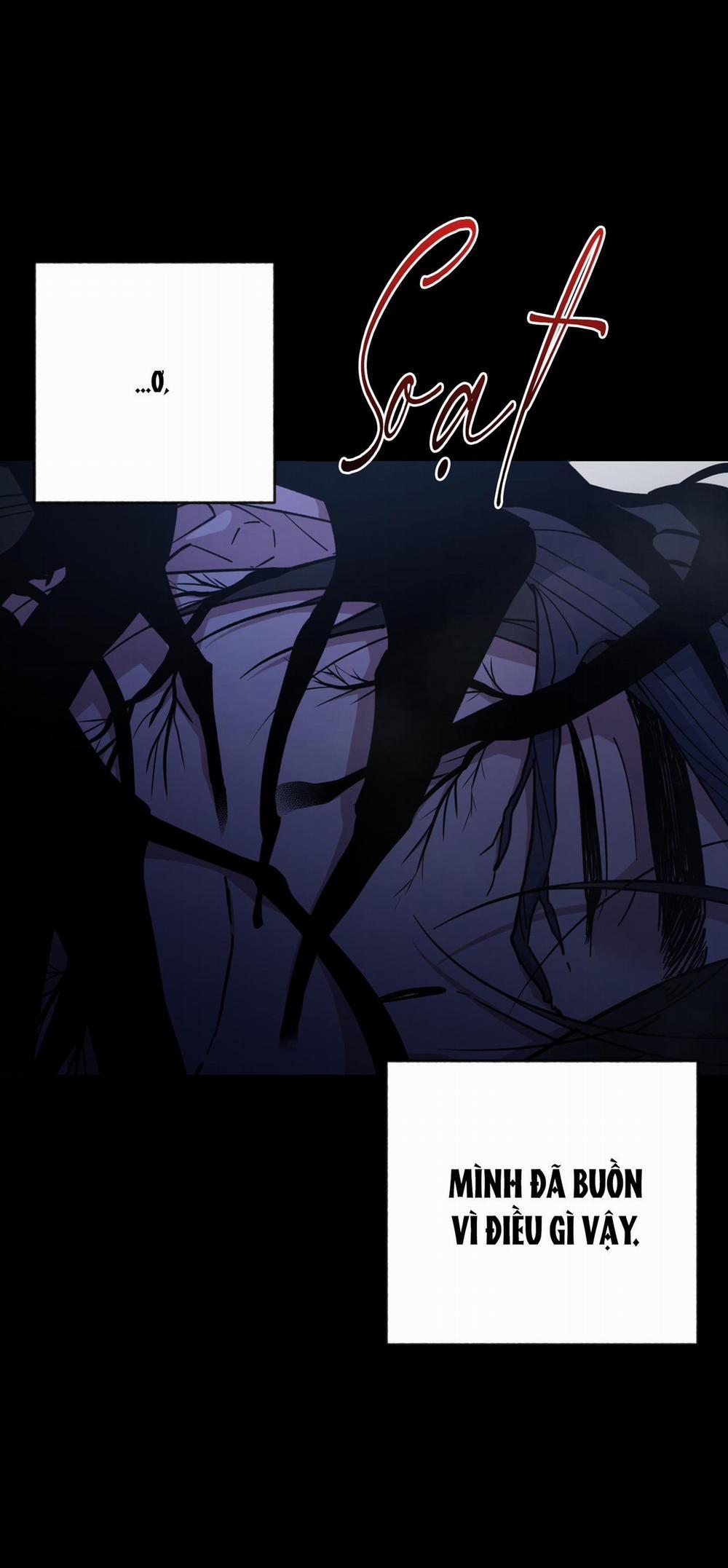 Bình Minh Của Rồng 66 trang 12