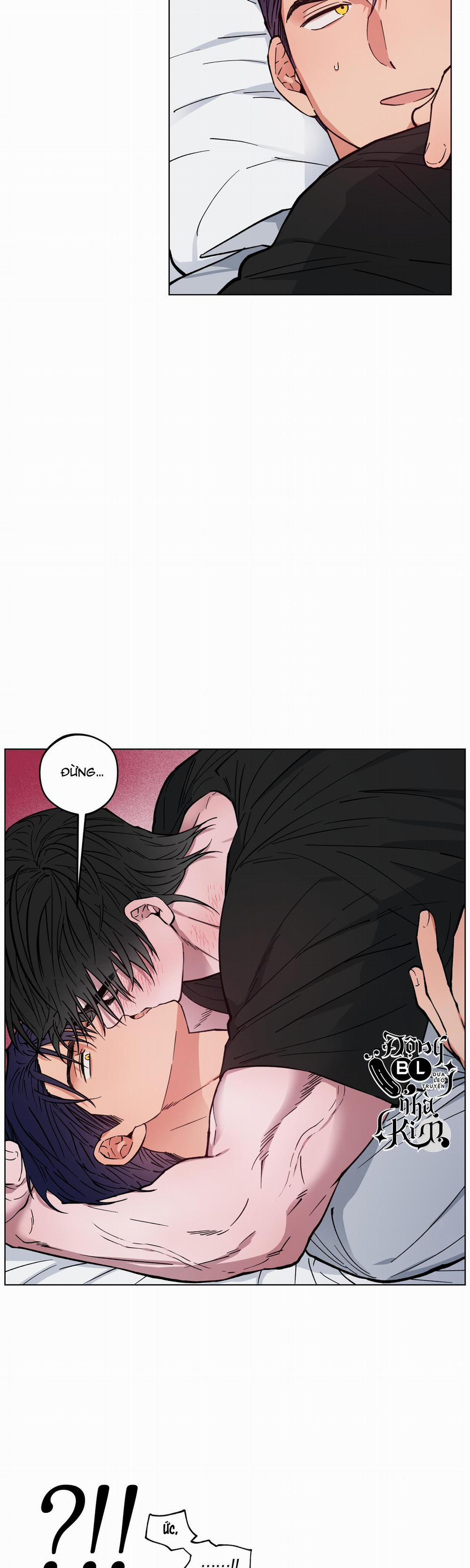 Bình Minh Của Rồng 7 trang 8