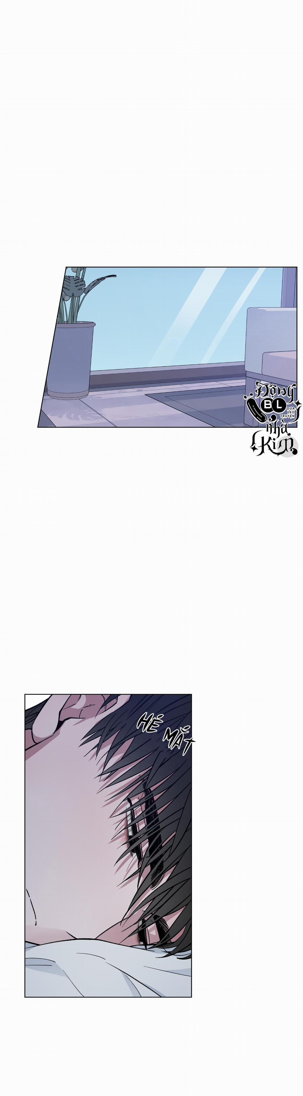 Bình Minh Của Rồng 8 trang 0