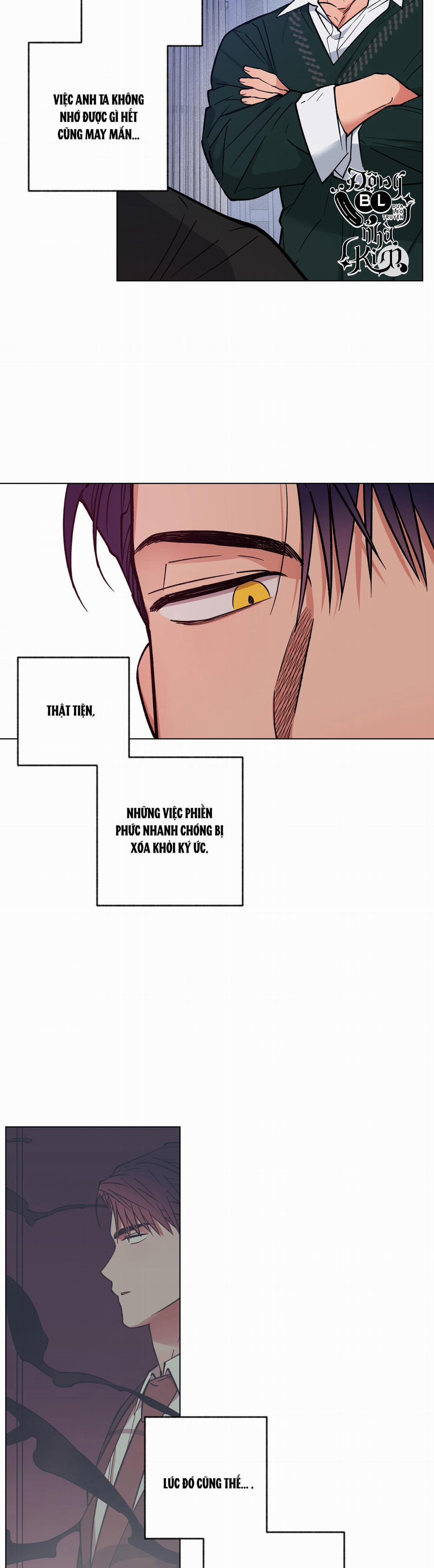 Bình Minh Của Rồng 8 trang 11