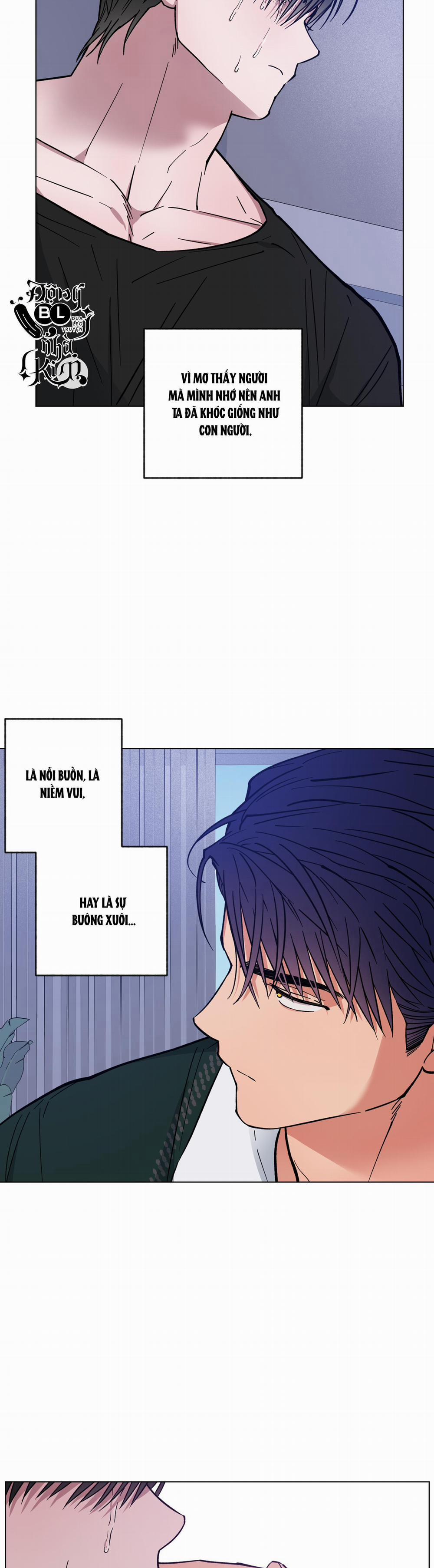 Bình Minh Của Rồng 8 trang 22