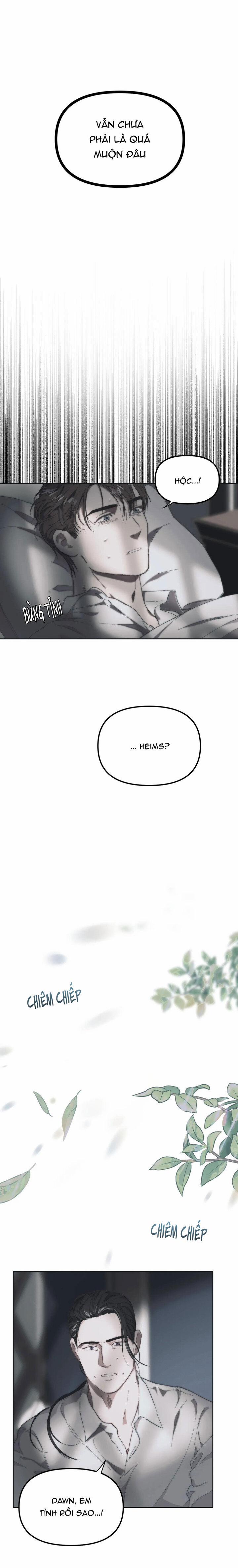 Bình Minh (Dawning) 6 trang 0