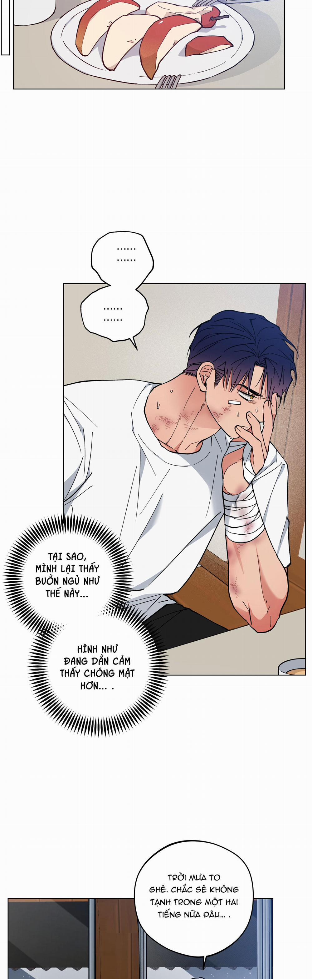 Bình Minh, Mây Và Sông 32 trang 23