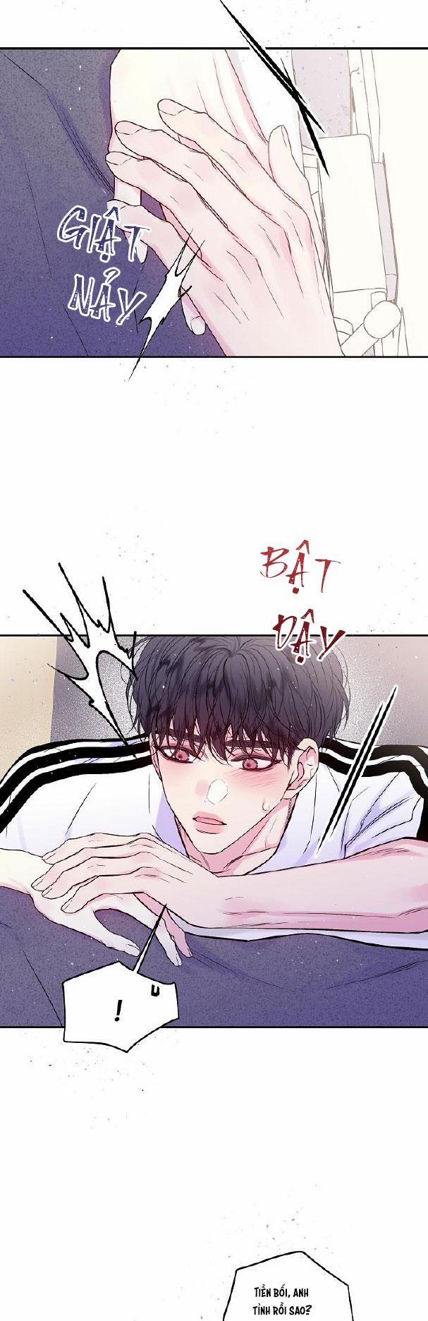 Bình Minh Thứ Hai 31 trang 19