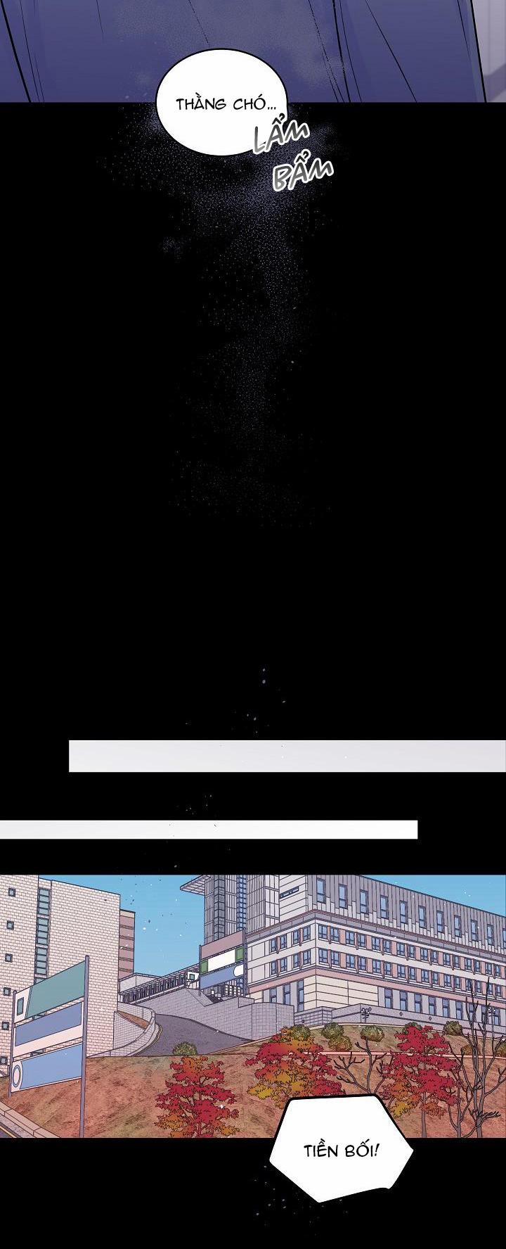 Bình Minh Thứ Hai 37 trang 18