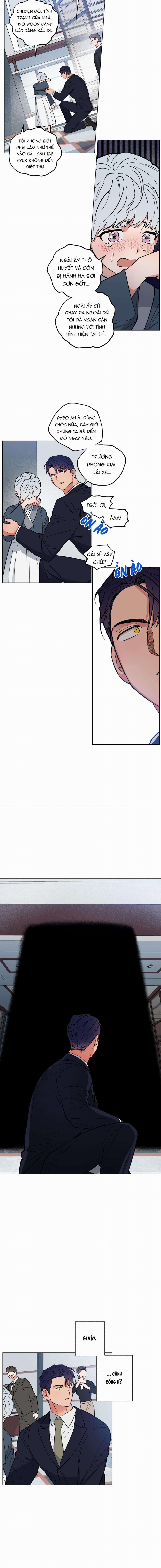 Bình Minh Trên Sông Mây 11 trang 3